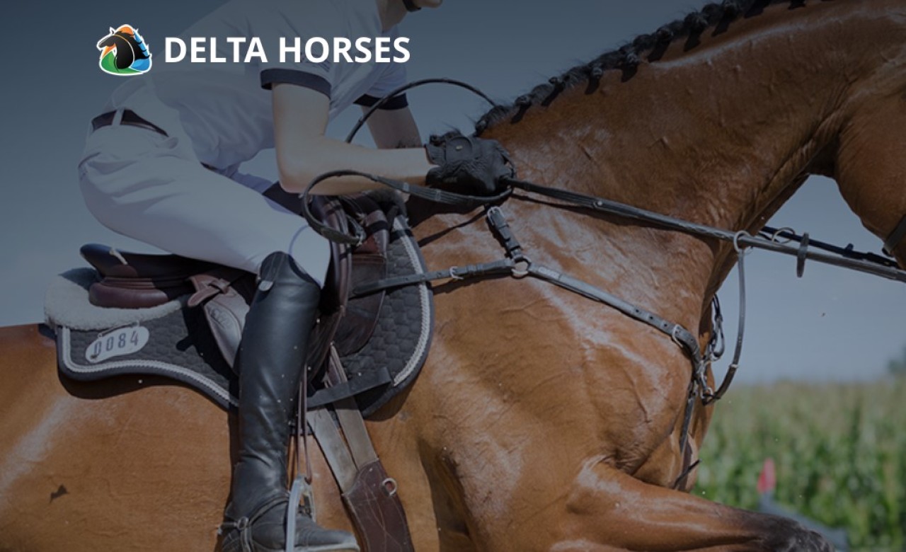 delta-horses-logo-met-paard.jpg